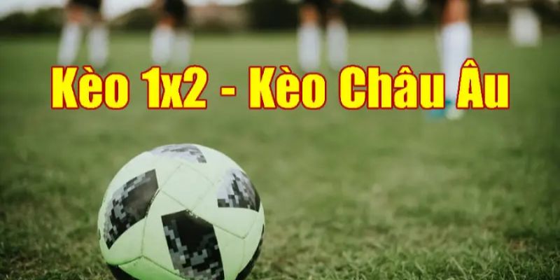 Kèo Châu Âu tại sảnh IM GO99 dễ chơi với 3 lựa chọn