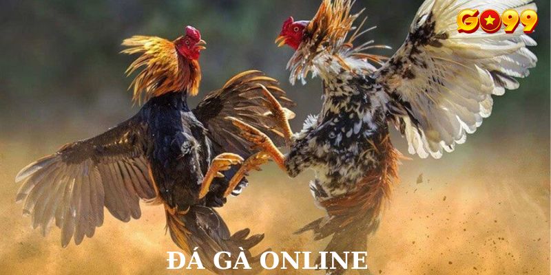 Ảnh đại diện đá gà online